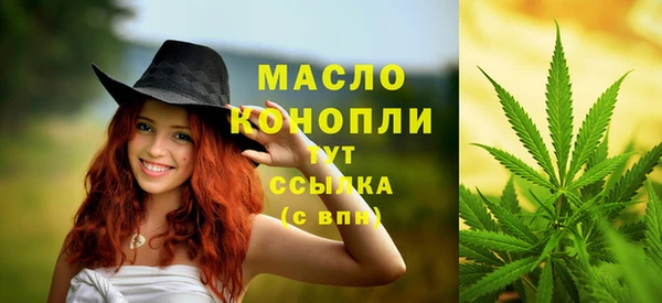 крисы Каменка