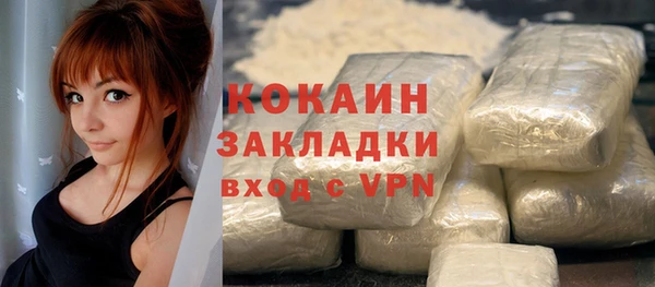 крисы Каменка