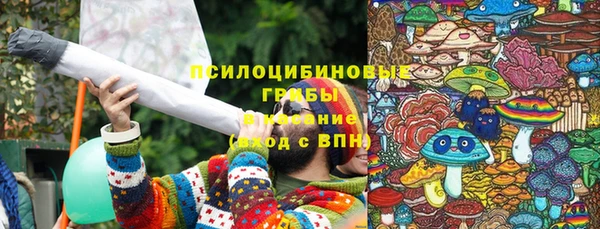 крисы Каменка