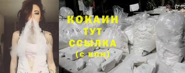 крисы Каменка