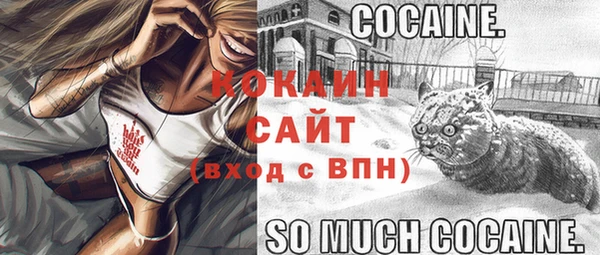крисы Каменка