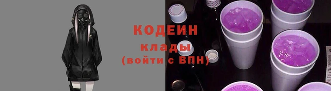 крисы Каменка