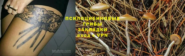 дмт Каменск-Шахтинский