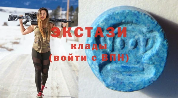крисы Каменка