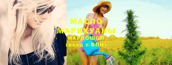 крисы Каменка