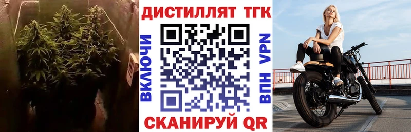 Дистиллят ТГК Wax  Купить закладки  Северодвинск 
