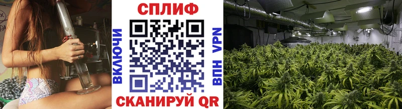 Купить где Северодвинск Шишки марихуана тримм